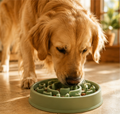 PawSlow™ Anti-Bloat Puzzle Feeder Bowl — Slow Feeder for Dogs & Puppies