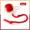 PawBall™ pelota automatica 360 grados movimiento perro jugando