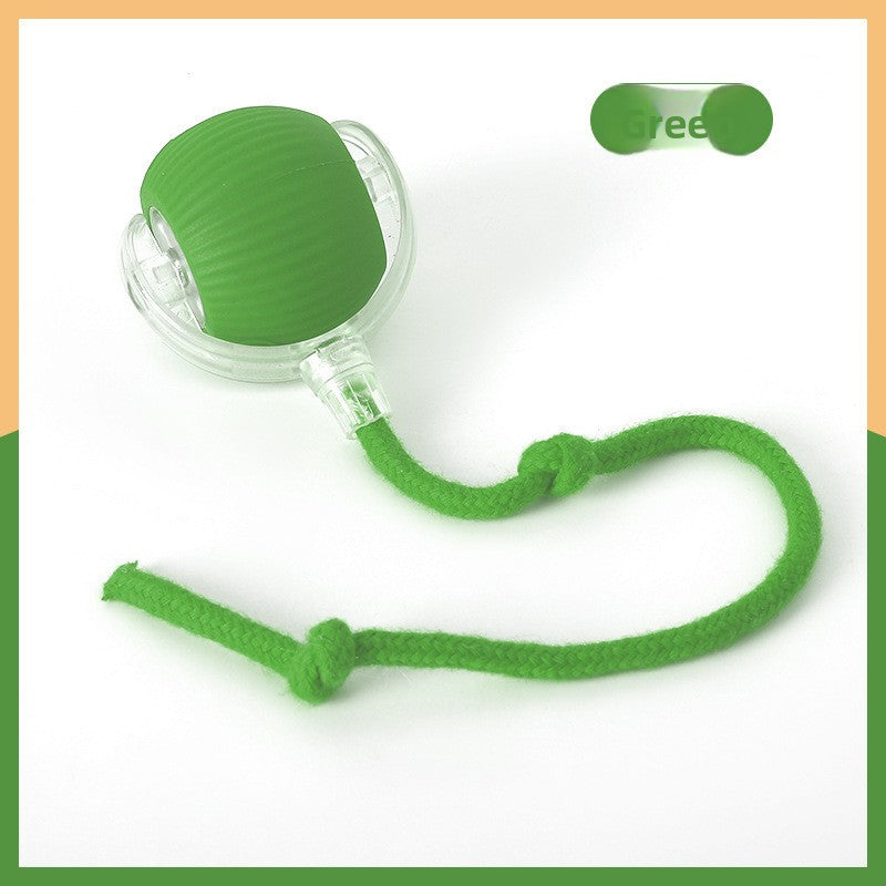 PawBall™ — Pelota Interactiva Automática para Perros y Gatos